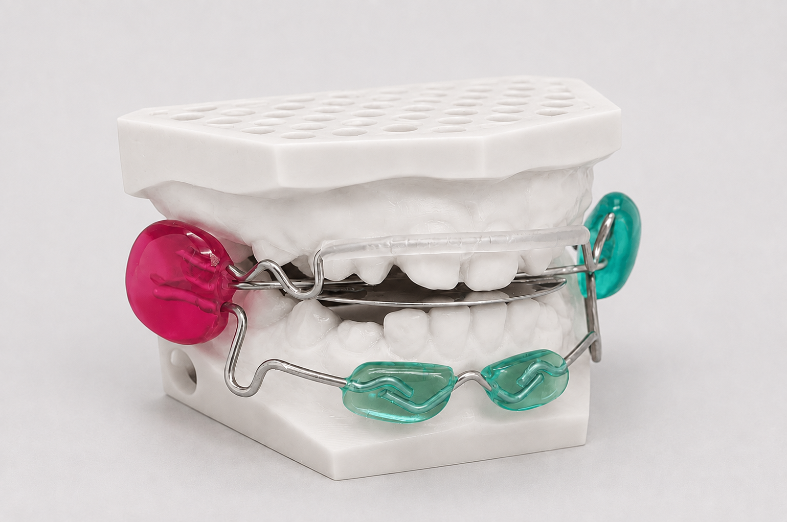 Placca di Cervera Bracco con Lip Bumper — foto 2
